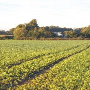 Erdgasförderungsanlage in Söhlingen