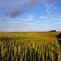 "Windräder" (CC BY-SA 2.0) by  christianreimer 