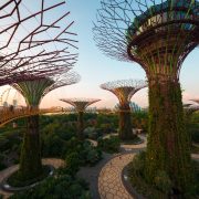 "the trees III (Singapore)" (CC BY 2.0) by  Kai Lehmann 