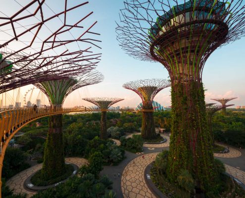 "the trees III (Singapore)" (CC BY 2.0) by Kai Lehmann